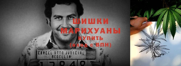 крисы Михайловск