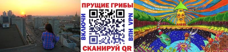 Купить  Амурск  Галлюциногенные грибы Magic Shrooms 